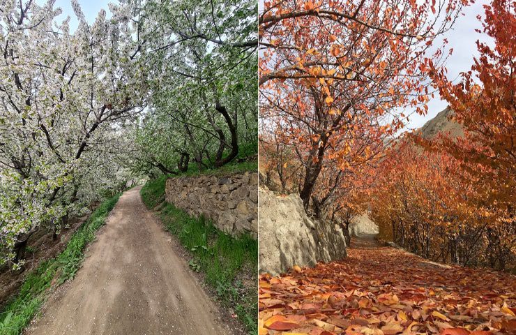 طبیعت بهاری و پاییزی روستای سنگان 