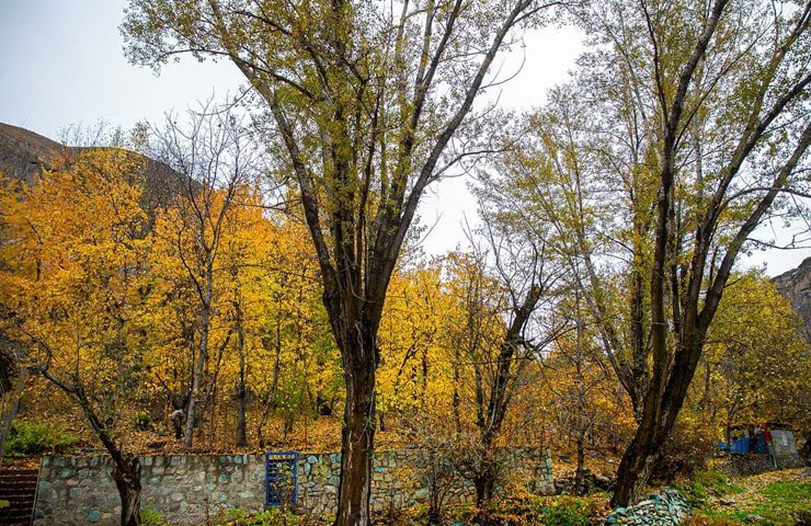 طبیعت پاییزی روستای آهار