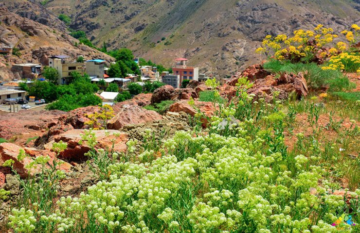 طبیعت زیبای روستای وردیج