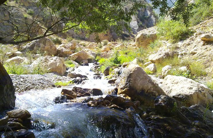 رودخانه جاری شده از آبشار شاهان دشت