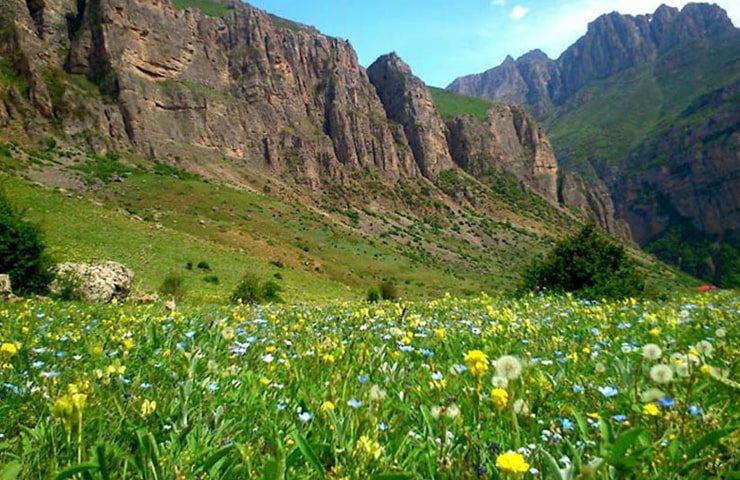 طبیعت اطراف آبشار هریجان