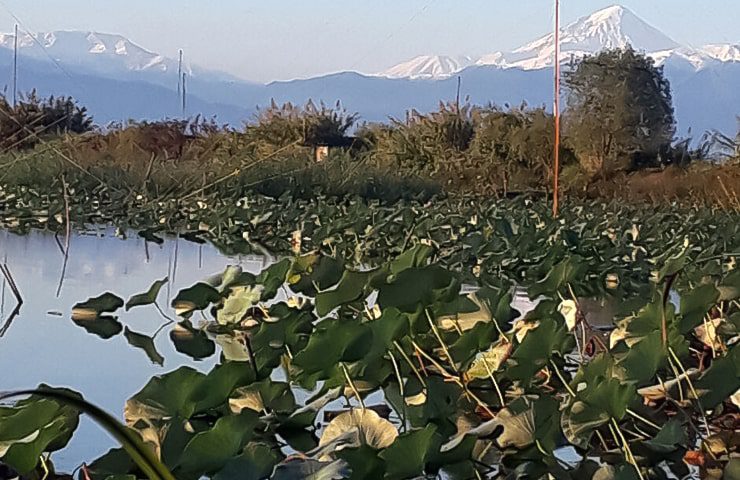 رودبست بابلسر از جاهای ماهیگیری متفاوت در بابلسر 