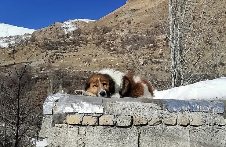 روستای خفر