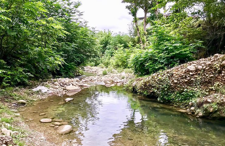 طبیعت سرسبز روستای انارجار