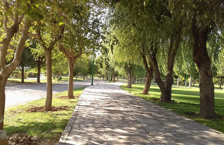 پارک جنگلی توسکا