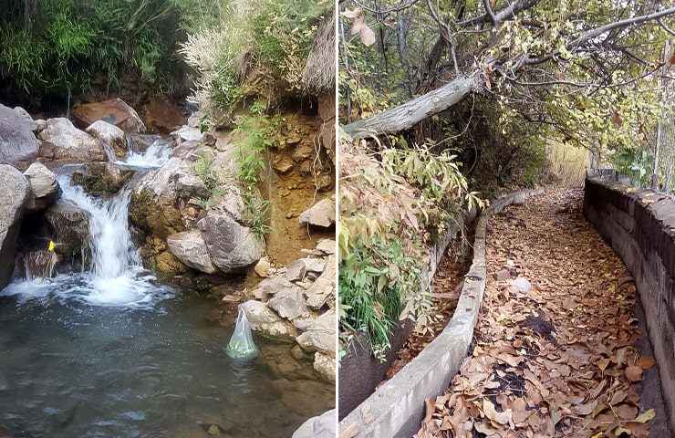 روستای برگ جهان