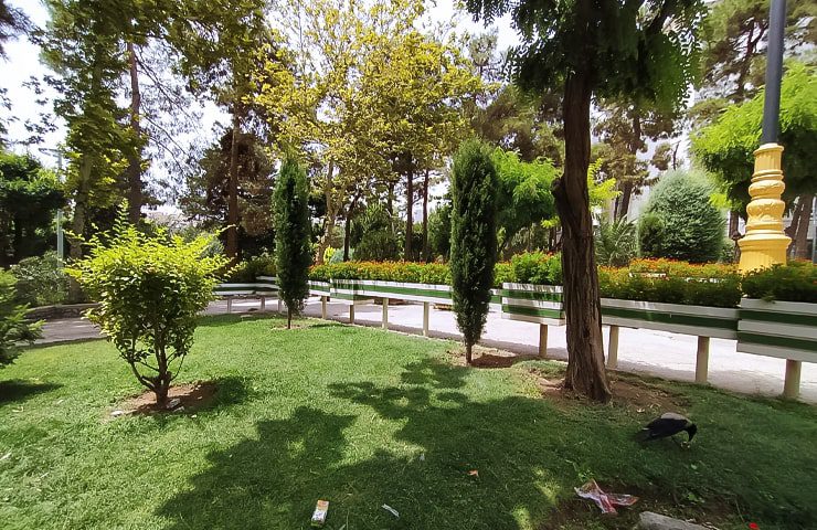 پارک ساعی از مکان های تفریحی تهران