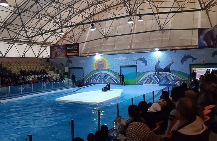 پارک دلفین­ ها تهران