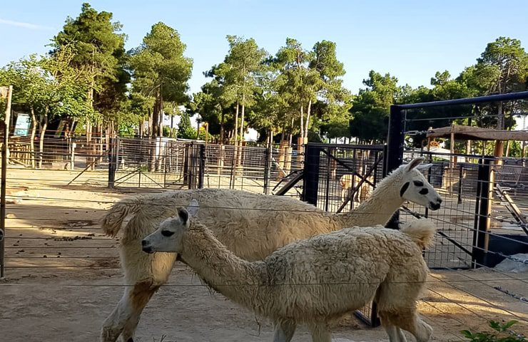 مسیر دسترسی به پارک ارم
