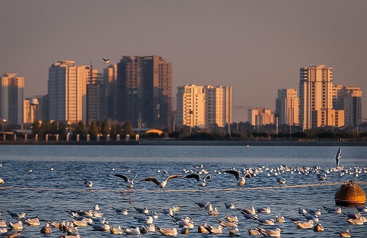 دریاچه چیتگر تهران 