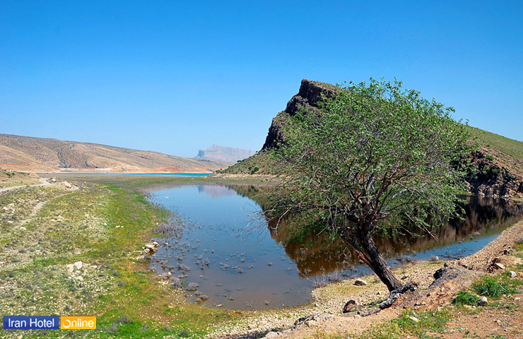 تصویری از دریاچه سد درودزن در ابتدای فصل بهار و تک درخت زیبا در کنار آن