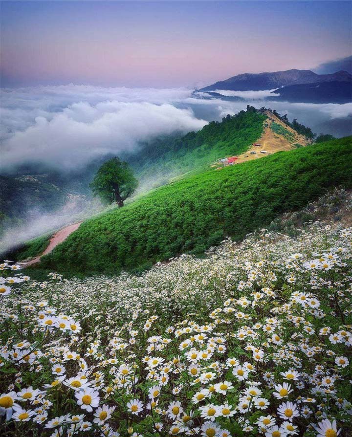 عکس ماسال گیلان