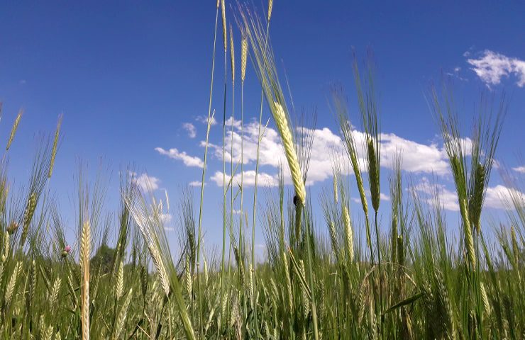 دهکده صخره‌ای ویند کلخوران