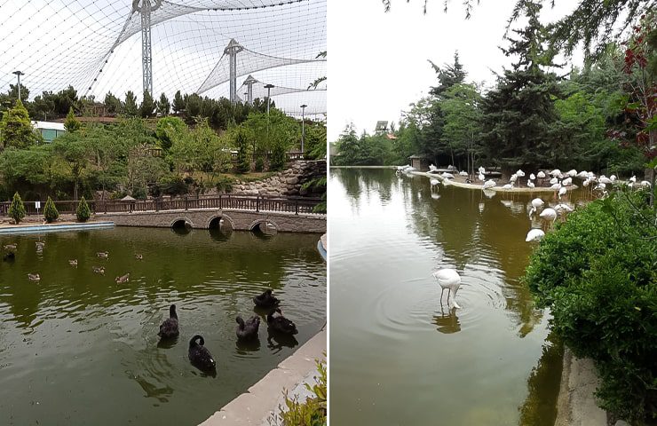 جاهای دیدنی شرق تهران