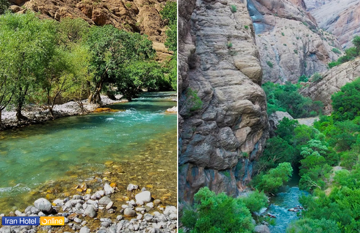 تنگه های لرستان؛ ماجراجویی در پیچ و تابهای پیکر طبیعت 10 رودخانه زلال و سبز رنگ در میانه دره نی گاه دورود لرستان و تصویری از طبیعت سبز تابستانی دره