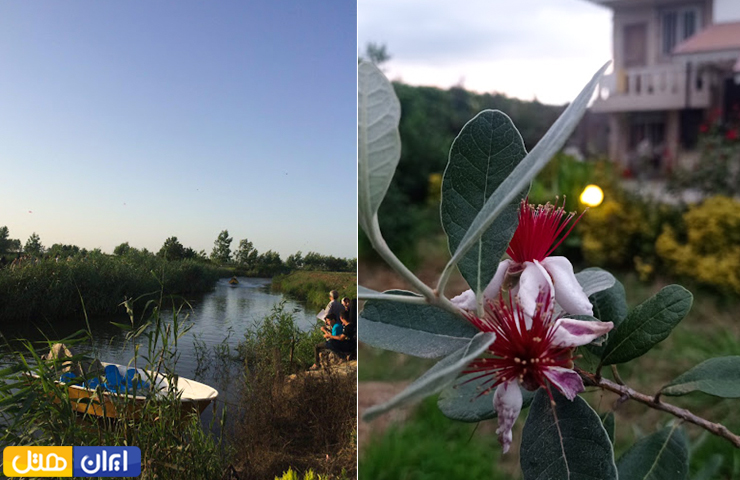 جاهای دیدنی اطراف بندر انزلی؛ از روستاهای توریستی تا مرداب و جنگل 10 دو تصویر زیبا از طبیعت بهاری روستای هندخانه بندر انزلی