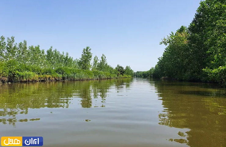 جاهای دیدنی اطراف بندر انزلی؛ از روستاهای توریستی تا مرداب و جنگل 8 منطقه سرسبز سرخانکل در کنار تالاب بندر انزلی