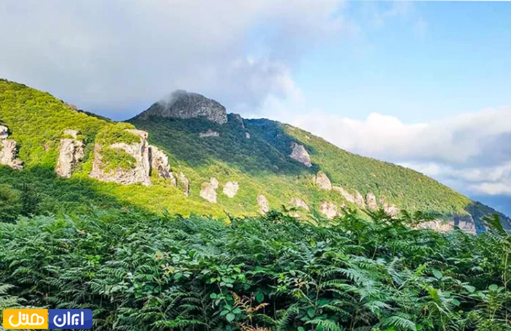 تصویری دور نما از قلعه شیندان در فصل بهار با طبیعت سرسبز 
