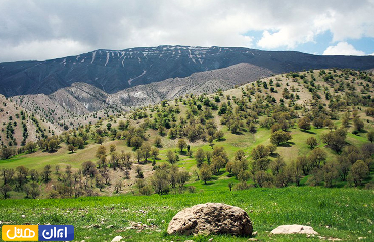طبیعت دلنشین و بهاری در دامنه کبیرکوه و دور نمایی از قله‌های برفی آن