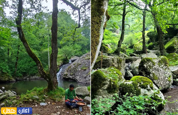 تصویری دلنشین از اطراف آبشار لاتون و گردشگری که مشغول تفریح در کنار این آبشار است