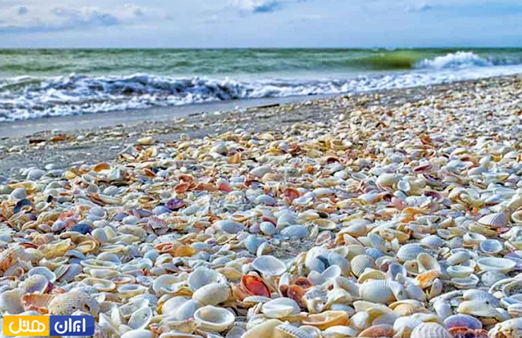 صدف‌های رنگی و زیبا در ساحل آرام صدف آستارا