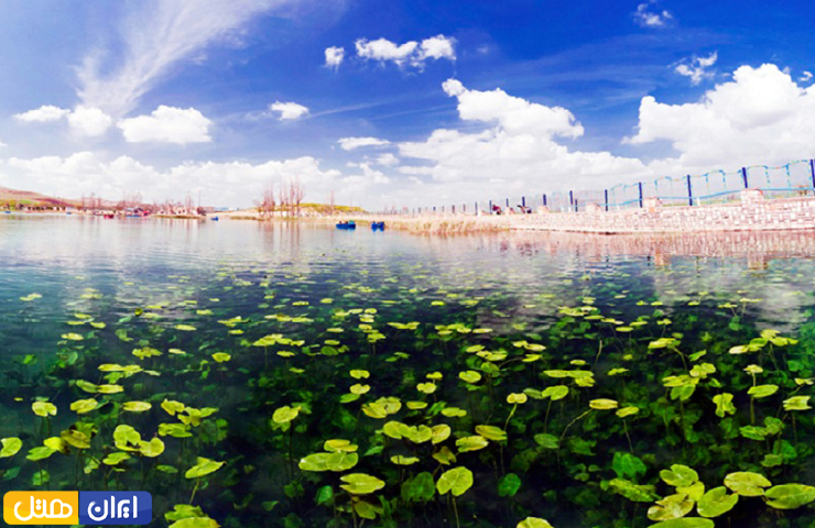 جاهای دیدنی کرمانشاه؛ از معبد آناهیتا تا بیستون زیبا! 17 برگهای پهن و سبز رنگ بر روی سطح سراب زیبای نیلوفر کرمانشاه