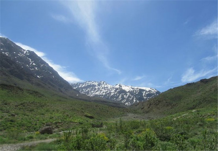 قله کوه