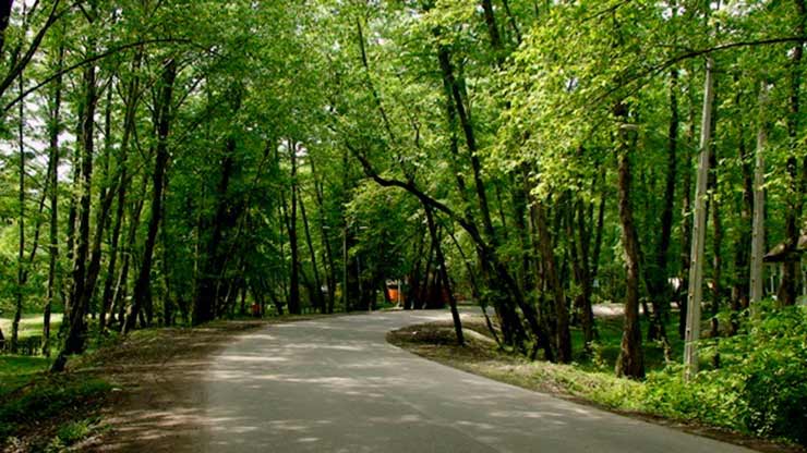 پارک جنگلی کشپل نور