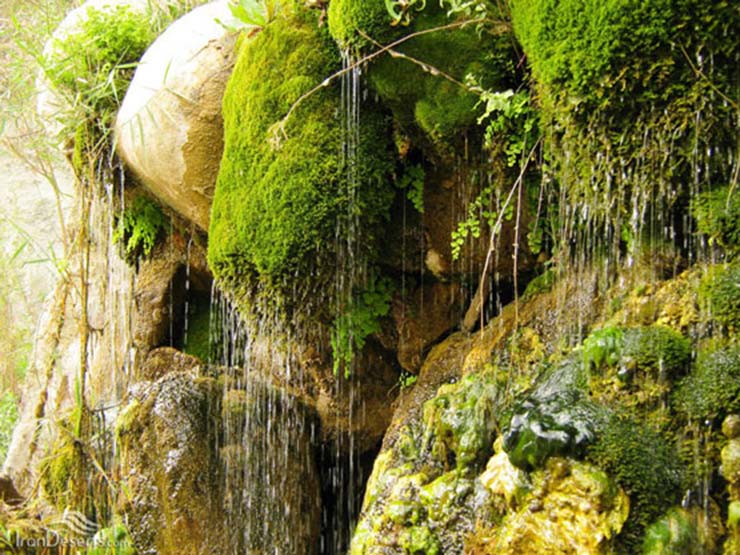 تنگه دم اسب شیراز