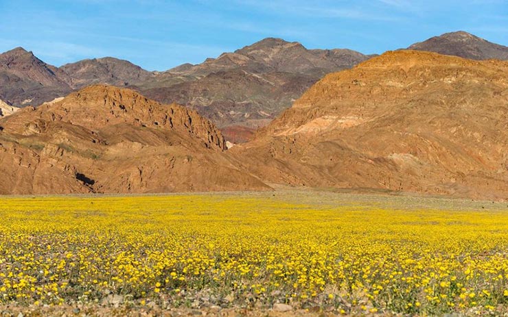 مکان های رنگارنگ دنیا