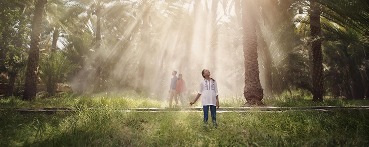 Al Ain Oasis: Abu Dhabi