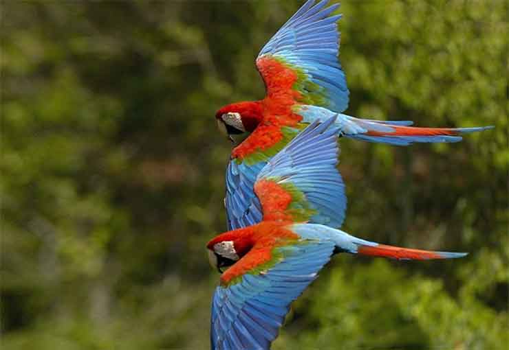 Get the binoculars out in Chiapas