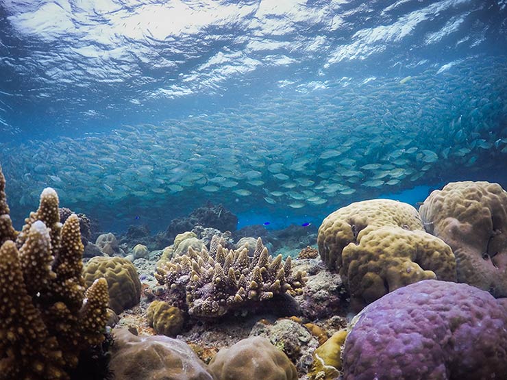 Get adventurous in Coron
