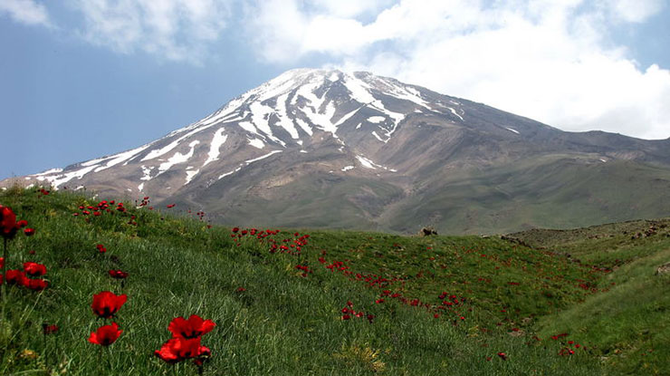 تهرانگردی