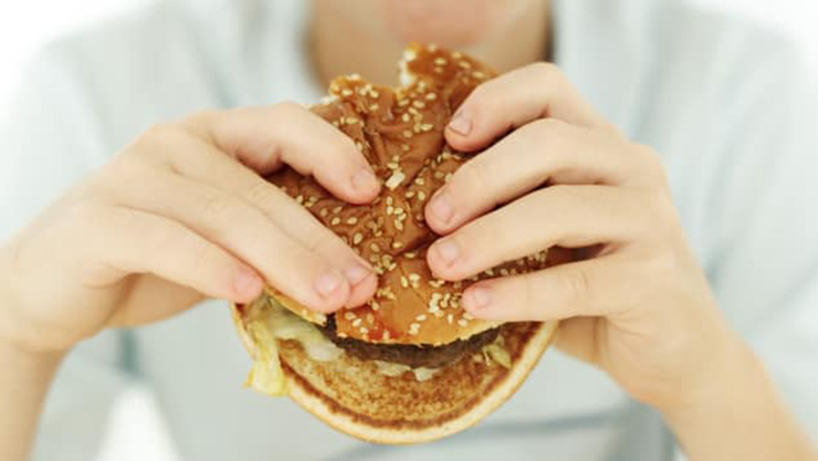 Hamburger, Germany