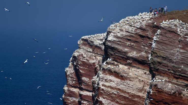 Heligoland