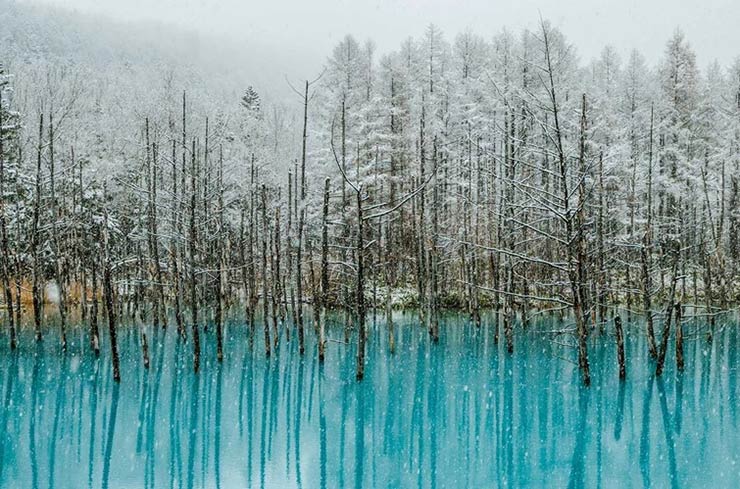 Hokkaido Island