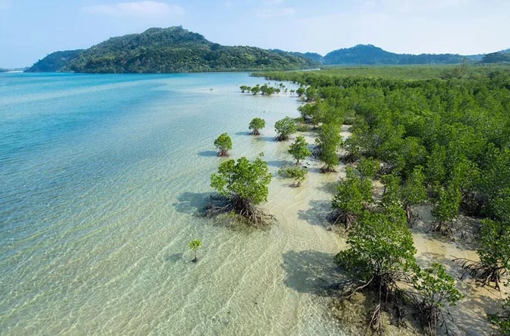 Iriomote Island
