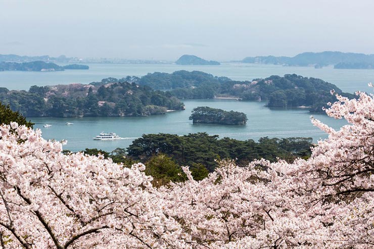 beauty of Matsushima Bay