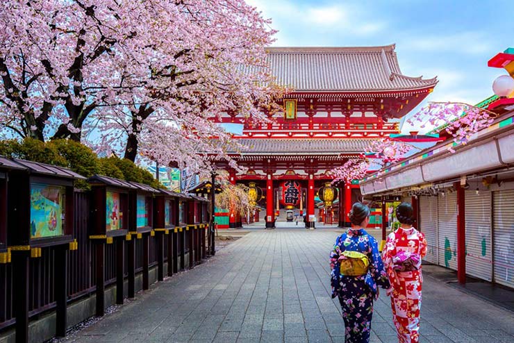Tokyo flooded in pink