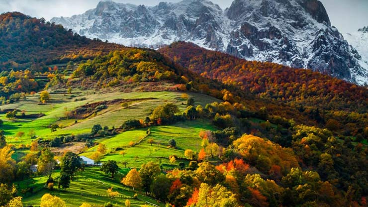 Picos de Europa