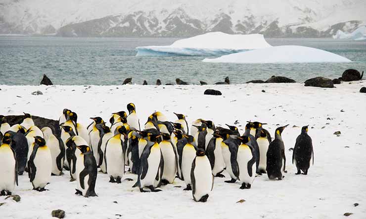 The Shackleton Walk