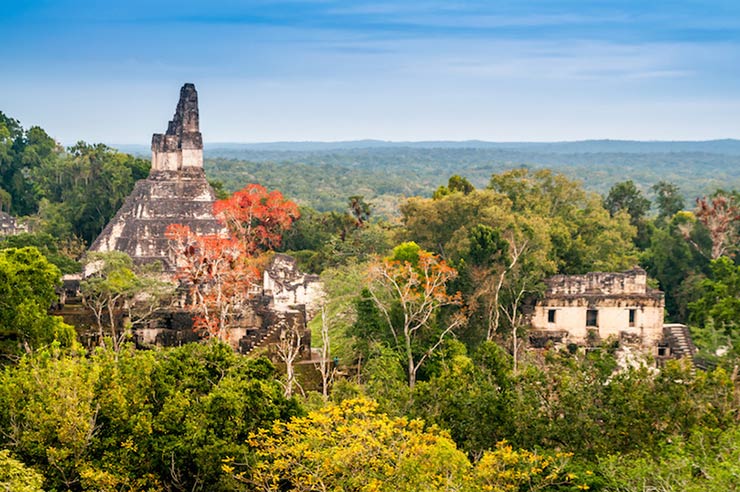 Tikal Ruins