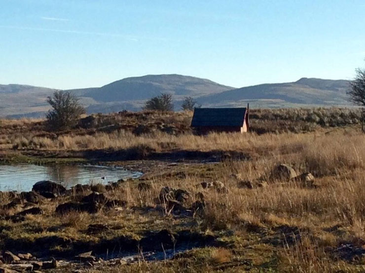 The Lakeside Cabin