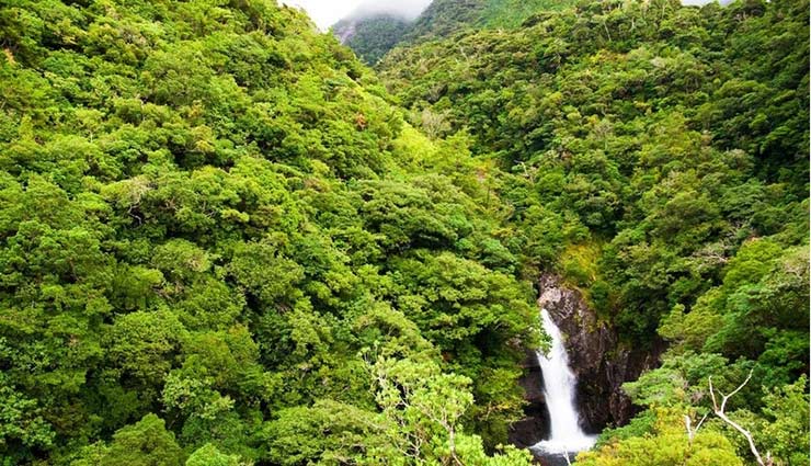 Yakushima Island