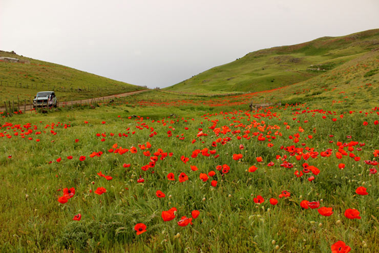 ییلاق سوباتان
