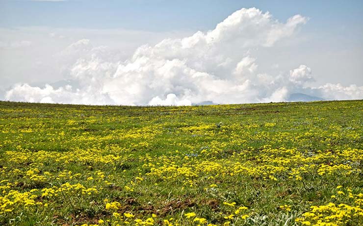 الیمستان آمل