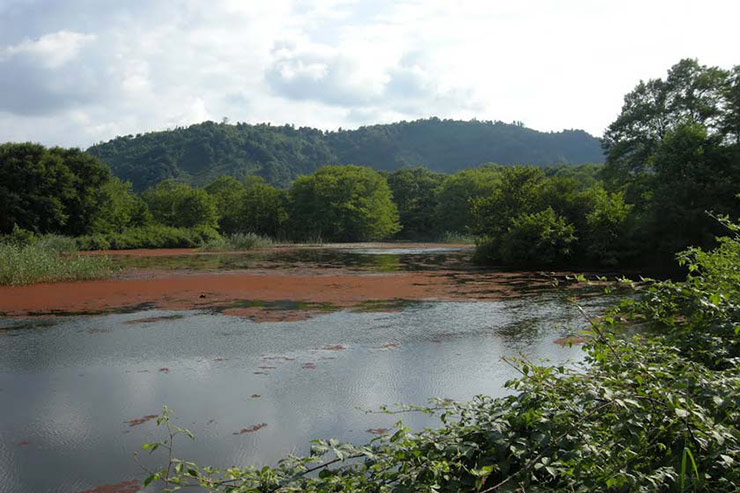 تالاب سوستان