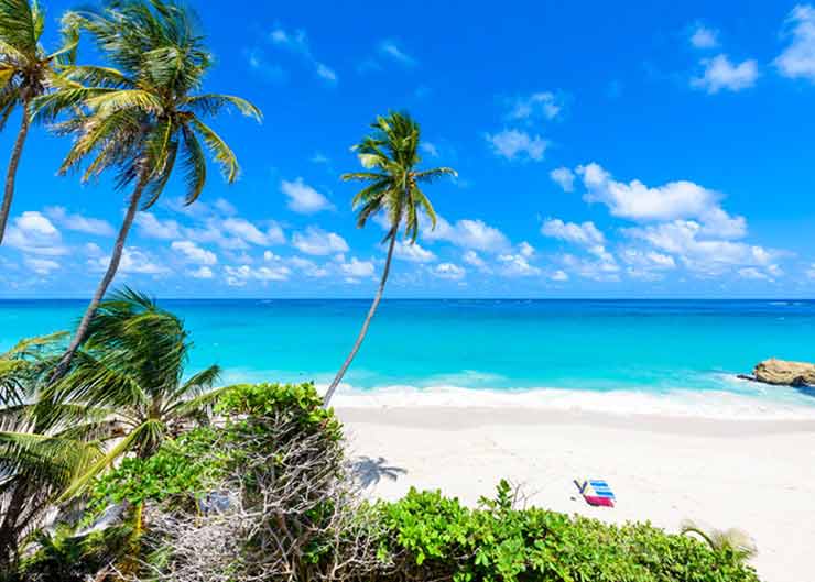 Cruise the Caribbean