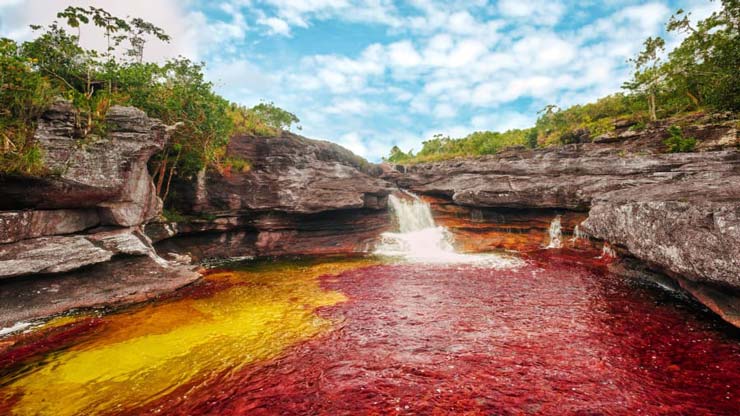 Caño Cristales